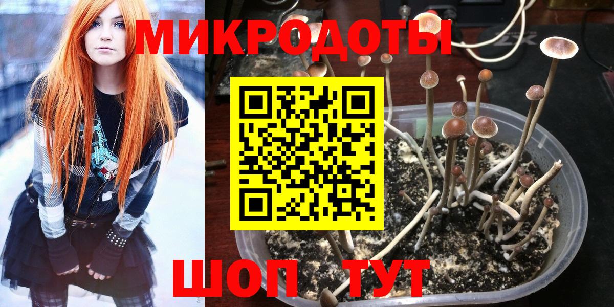 Псилоцибиновые грибы прущие грибы  где можно купить   Видное  Вход с VPN 